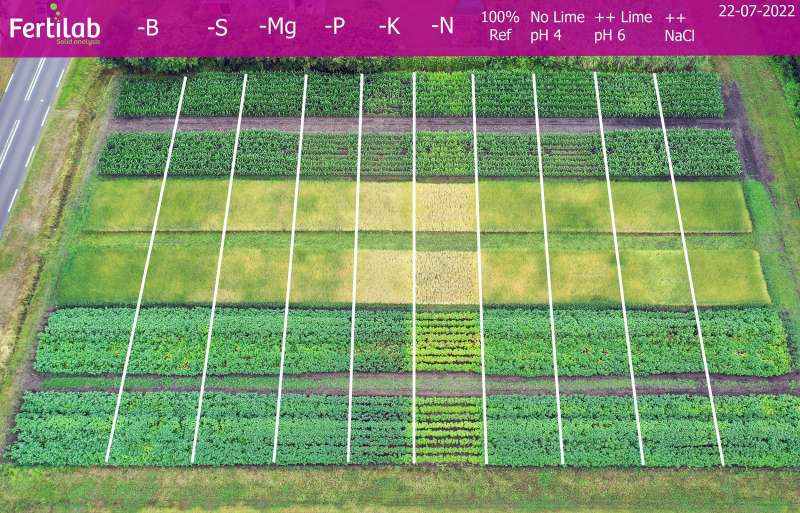 Proefveld in Marwijksoord.